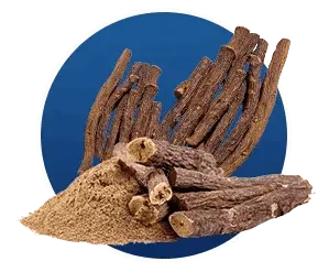 Licorice Extract.png