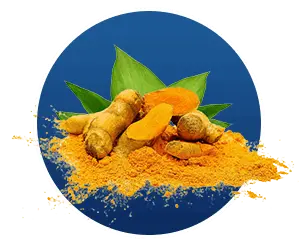 Turmeric.png